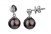 Black Freshwater Diamond Bezel Pearl Earrings 8.00 - 8.50mm