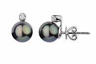Black Freshwater Diamond 4 Prong Pearl Earrings 8.00 - 8.50mm